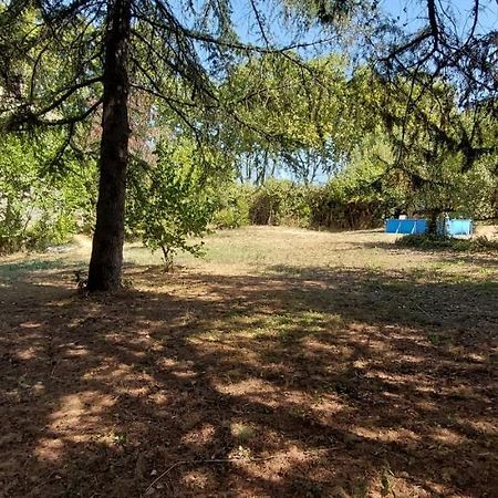 Maison Sur 2000M² D'Espace Vert. Bassan Bagian luar foto