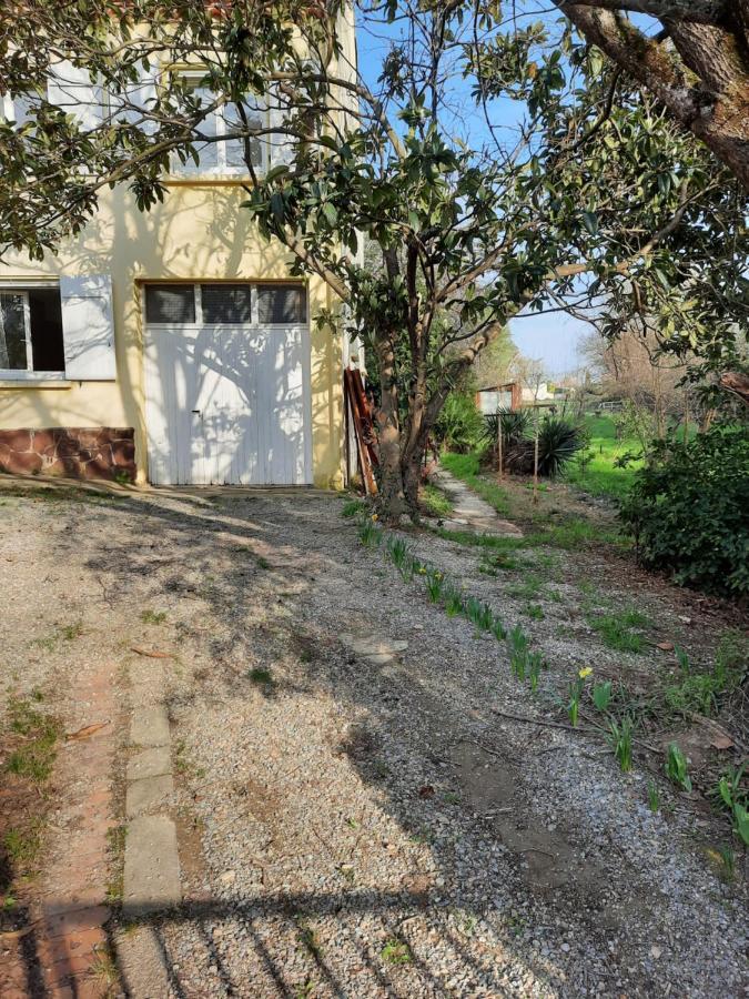 Maison Sur 2000M² D'Espace Vert. Bassan Bagian luar foto